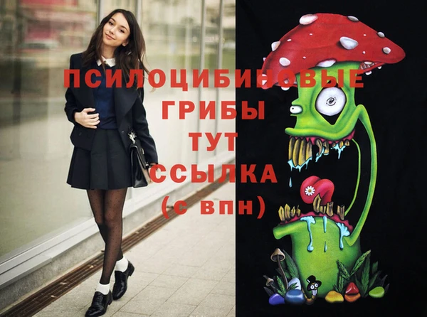 метамфетамин Алексеевка