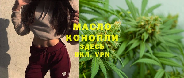гашик Арсеньев