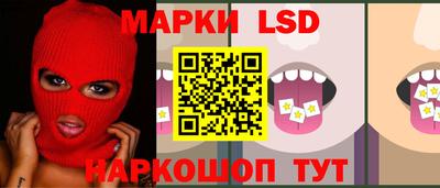 мяу мяу мука Кингисепп
