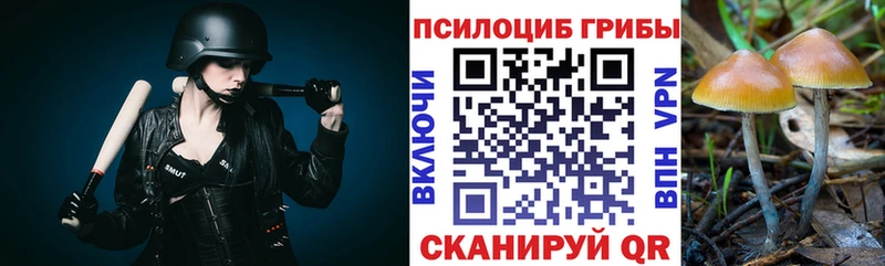 Псилоцибиновые грибы Magic Shrooms наркота Майкоп
