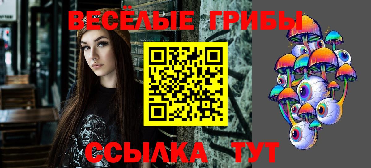 Галлюциногенные грибы Psilocybe  Псилоцибиновые грибы GOLDEN TEACHER  Майкоп  Вход с VPN 